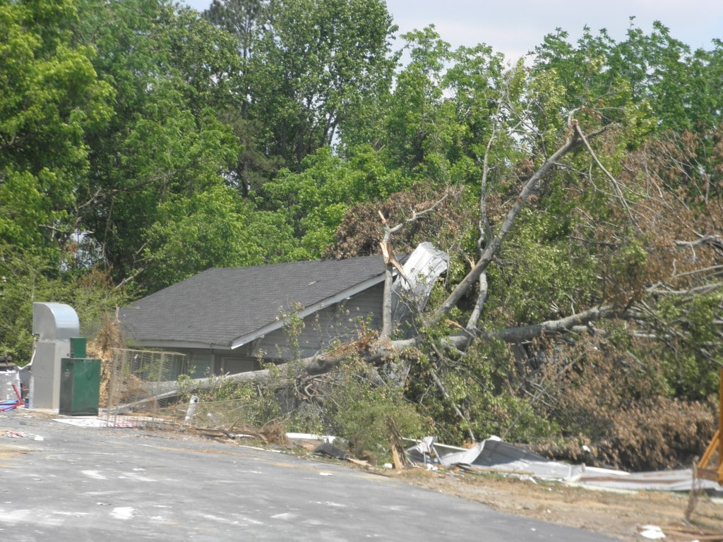 Large tree uprooted by wind storm, resting on the roof of a suburban home in Chesapeake, causing structural damage.