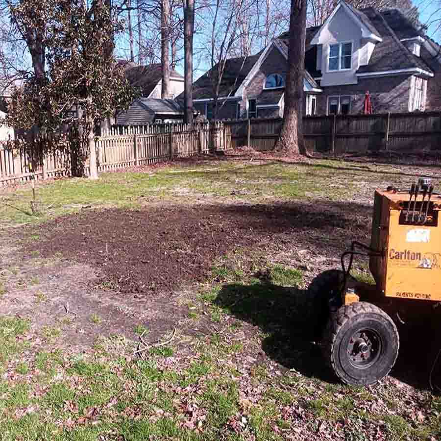 A grassy backyard after stump grinding, featuring a level, clean surface where the stump mulch was removed flush with the ground, showing no remaining debris or wood chips.