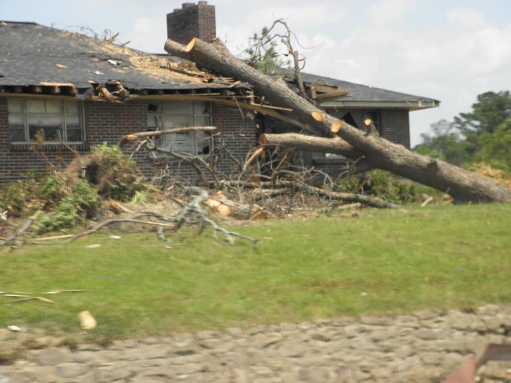 Large tree trunk resting on residential roof after branches and storm debris removed by professional tree service.