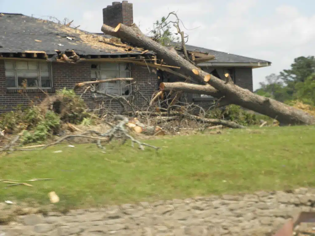 Large tree trunk resting on residential roof after branches and storm debris removed by professional tree service.