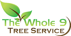 Whole 9 Tree Service logo with stylized tree graphic and company name.