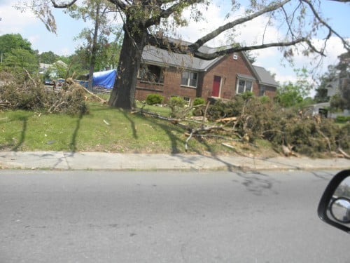 Large amounts of broken oak branches and cedar tree debris covering a residential yard in Virginia Beach after a severe wind storm.