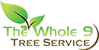 Whole 9 Tree Service vector logo. A Chesapeake tree service.