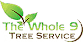 Whole 9 Tree Service vector logo. A Chesapeake tree service.